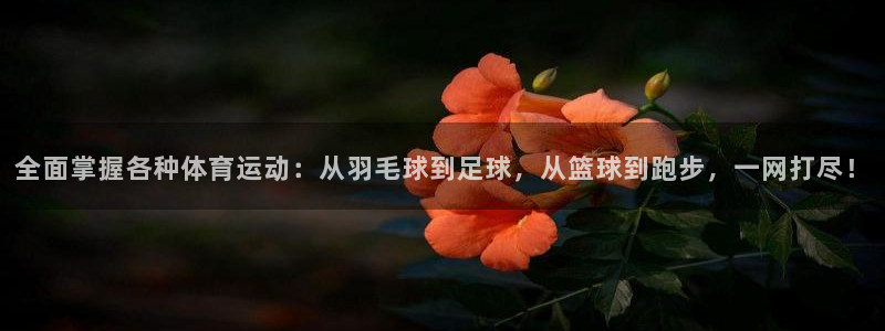 酷玩体育直播nba赛程