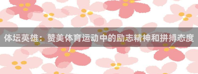 酷玩体育