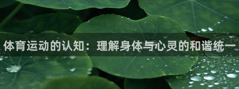 酷玩体育低调看NBA：体育运动的认知：理解身体与心灵的和谐统一