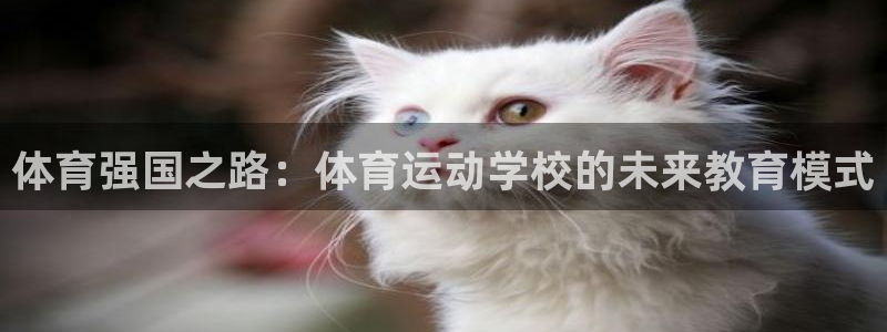 酷玩体育