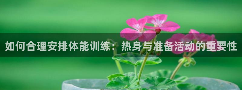 酷玩体育真的假的：如何合理安排体能训练：热身与准备活动的重要性